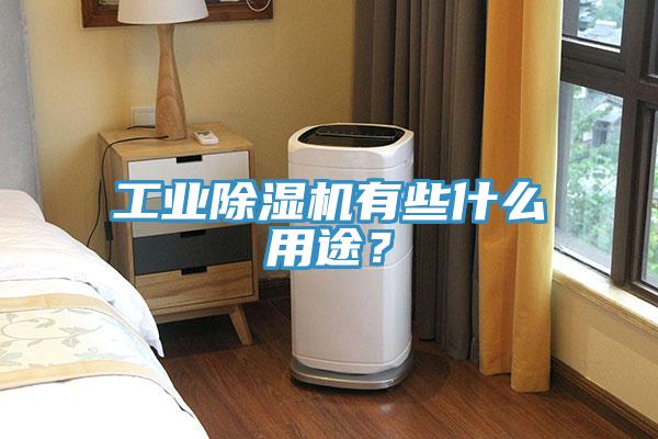 工业MR.好色破解版有些什么用途？