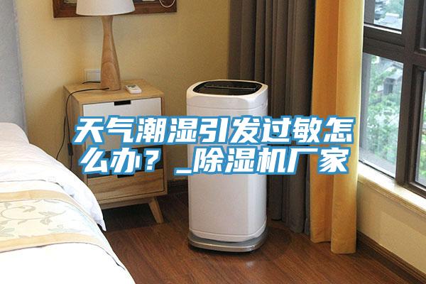天气潮湿引发过敏怎么办？_MR.好色破解版厂家