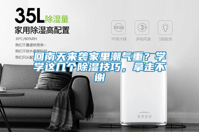 回南天来袭家里潮气重？学学这几个除湿技巧，拿走不谢