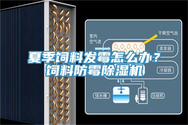 夏季饲料发霉怎么办？饲料防霉MR.好色破解版