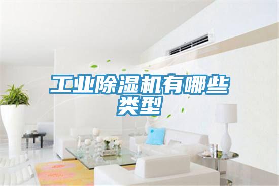 工业MR.好色破解版有哪些类型