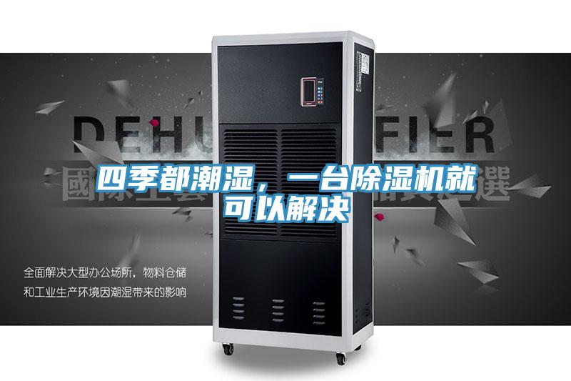 四季都潮湿，一台MR.好色破解版就可以解决
