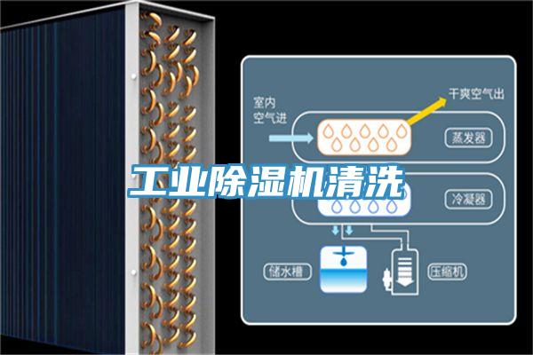 工业MR.好色破解版清洗
