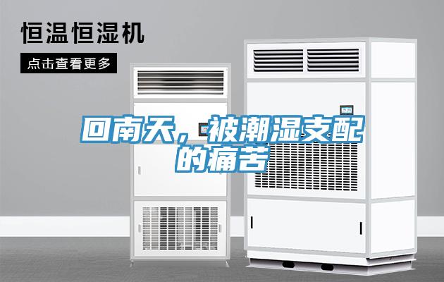 回南天，被潮湿支配的痛苦
