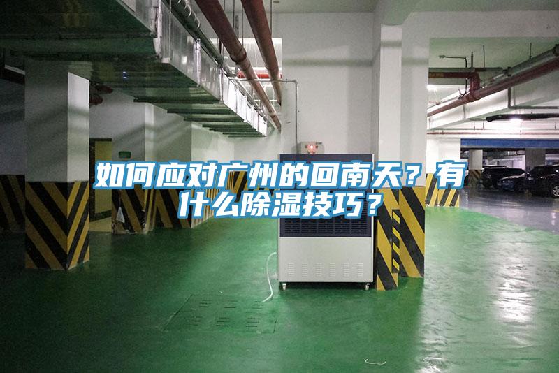 如何应对广州的回南天？有什么除湿技巧？