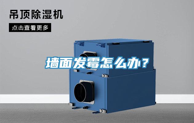 墙面发霉怎么办？