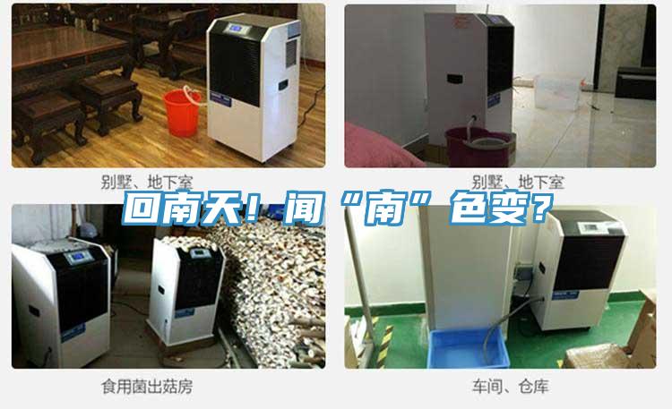 回南天！闻“南”色变？