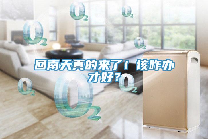 回南天真的来了！该咋办才好？