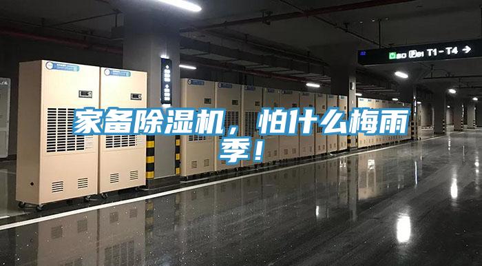 家备MR.好色破解版，怕什么梅雨季！