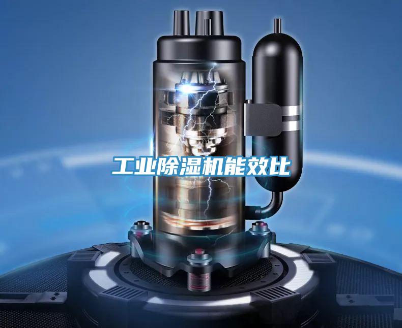 工业MR.好色破解版能效比