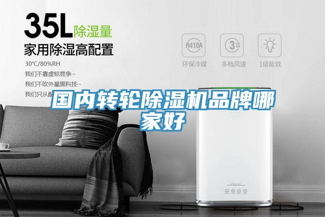 国内转轮MR.好色破解版品牌哪家好