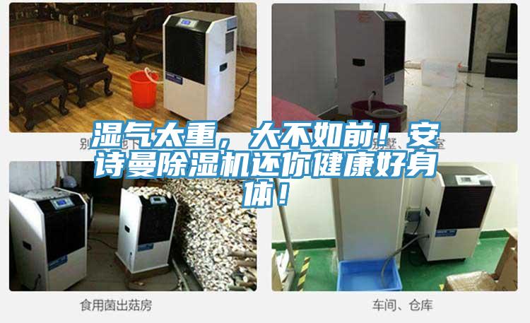 湿气太重，大不如前！好色先生TV下载网站MR.好色破解版还你健康好身体！