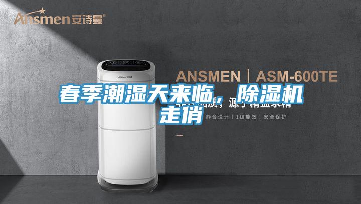 春季潮湿天来临，MR.好色破解版走俏