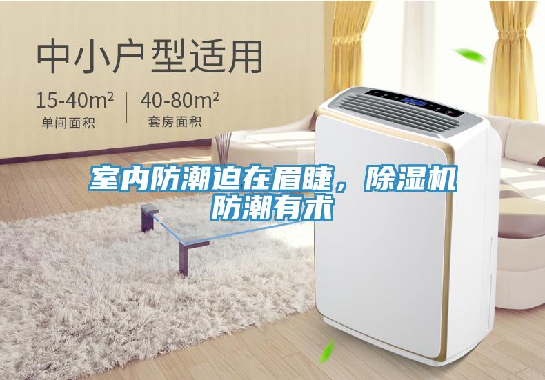 室内防潮迫在眉睫，MR.好色破解版防潮有术