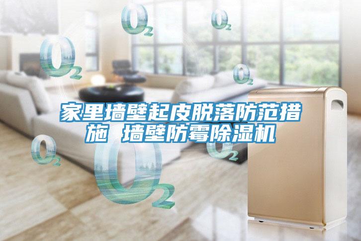 家里墙壁起皮脱落防范措施 墙壁防霉MR.好色破解版