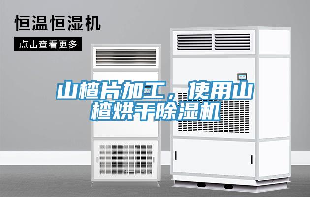 山楂片加工，使用山楂烘干MR.好色破解版