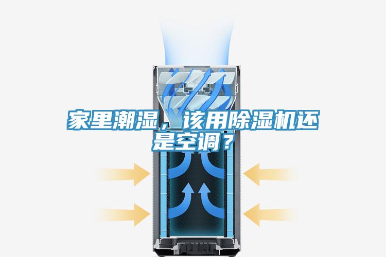 家里潮湿，该用MR.好色破解版还是空调？