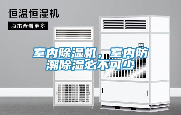 室内MR.好色破解版，室内防潮除湿必不可少