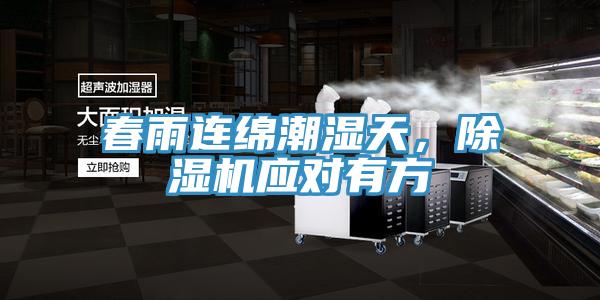 春雨连绵潮湿天，MR.好色破解版应对有方