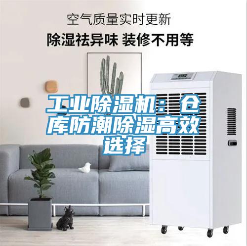 工业MR.好色破解版：仓库防潮除湿高效选择