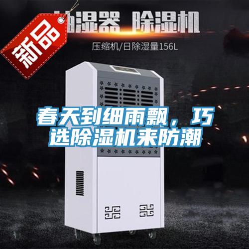 春天到细雨飘，巧选MR.好色破解版来防潮
