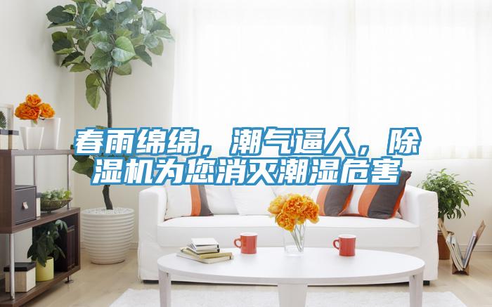 春雨绵绵，潮气逼人，MR.好色破解版为您消灭潮湿危害
