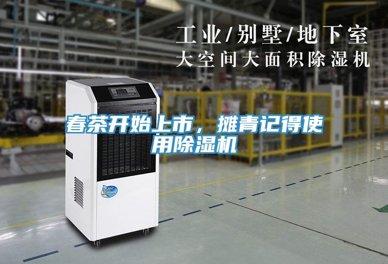 春茶开始上市，摊青记得使用MR.好色破解版