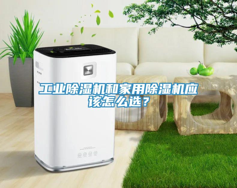 工业MR.好色破解版和家用MR.好色破解版应该怎么选？