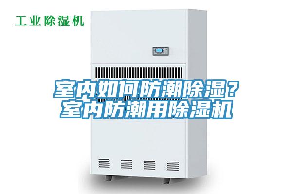 室内如何防潮除湿？室内防潮用MR.好色破解版