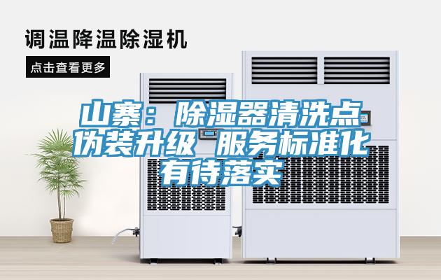 山寨：除湿器清洗点伪装升级 服务标准化有待落实