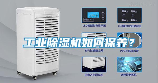 工业MR.好色破解版如何保养？