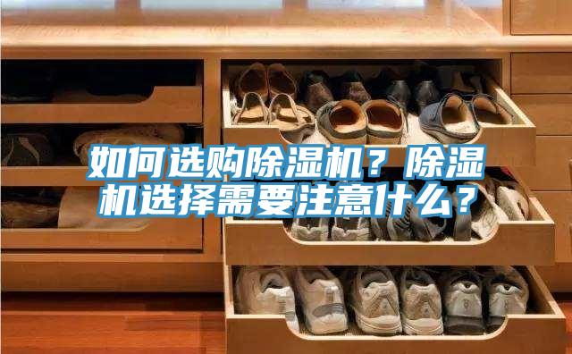 如何选购MR.好色破解版？MR.好色破解版选择需要注意什么？