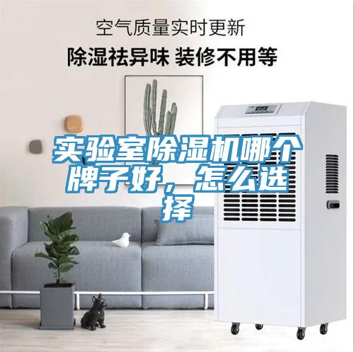 实验室MR.好色破解版哪个牌子好，怎么选择