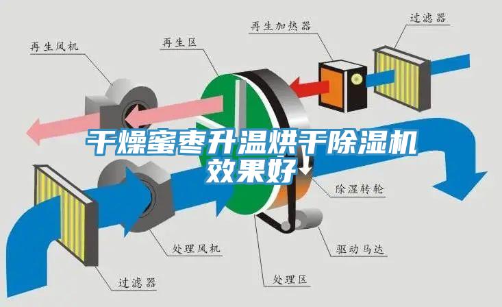 干燥蜜枣升温烘干MR.好色破解版效果好