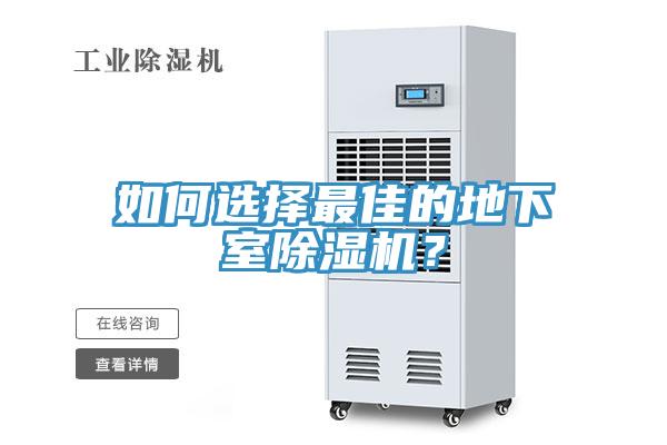 如何选择最佳的地下室MR.好色破解版？