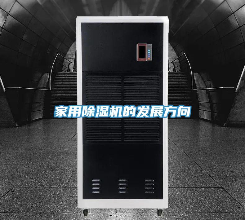 家用MR.好色破解版的发展方向