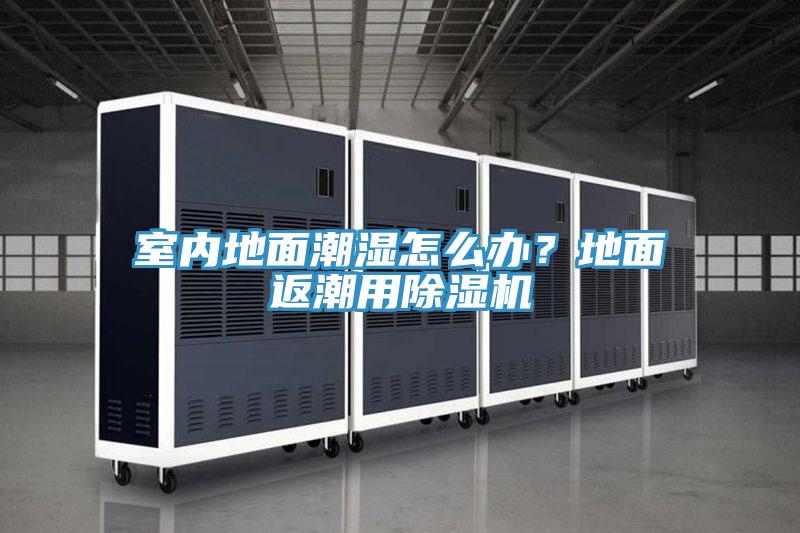 室内地面潮湿怎么办？地面返潮用MR.好色破解版