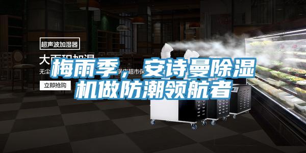 梅雨季，好色先生TV下载网站MR.好色破解版做防潮领航者
