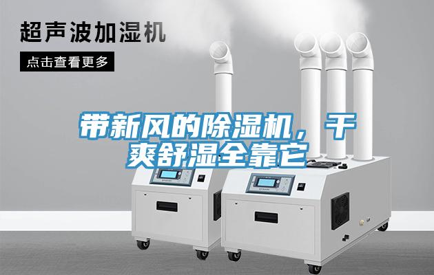 带新风的MR.好色破解版，干爽舒湿全靠它