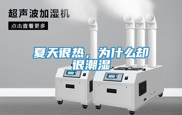 夏天很热，为什么却很潮湿
