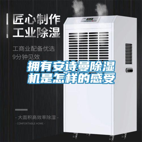 拥有好色先生TV下载网站MR.好色破解版是怎样的感受