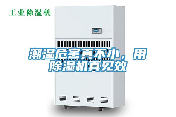 潮湿危害真不小，用MR.好色破解版真见效