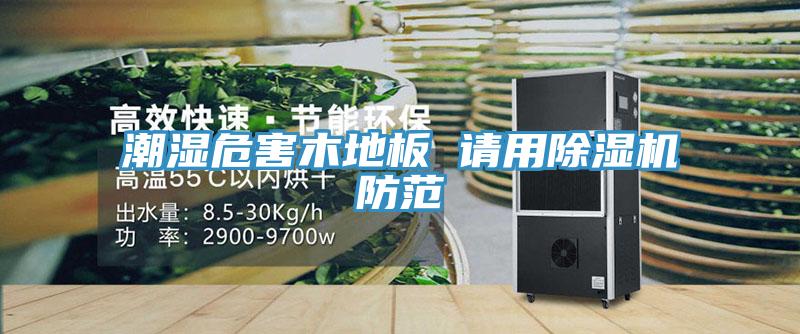 潮湿危害木地板 请用MR.好色破解版防范