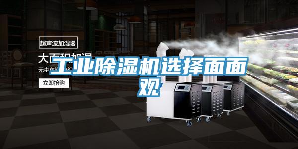 工业MR.好色破解版选择面面观