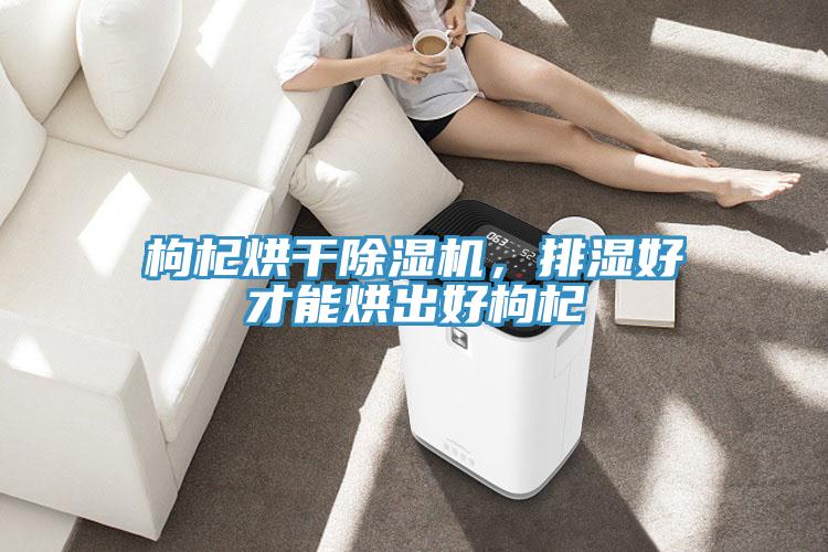 枸杞烘干MR.好色破解版，排湿好才能烘出好枸杞