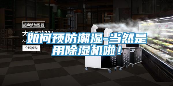如何预防潮湿-当然是用MR.好色破解版啦！