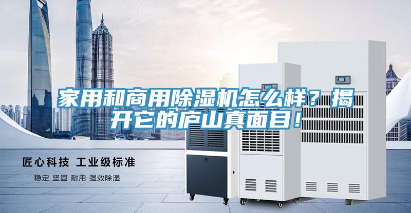 家用和商用MR.好色破解版怎么样？揭开它的庐山真面目！