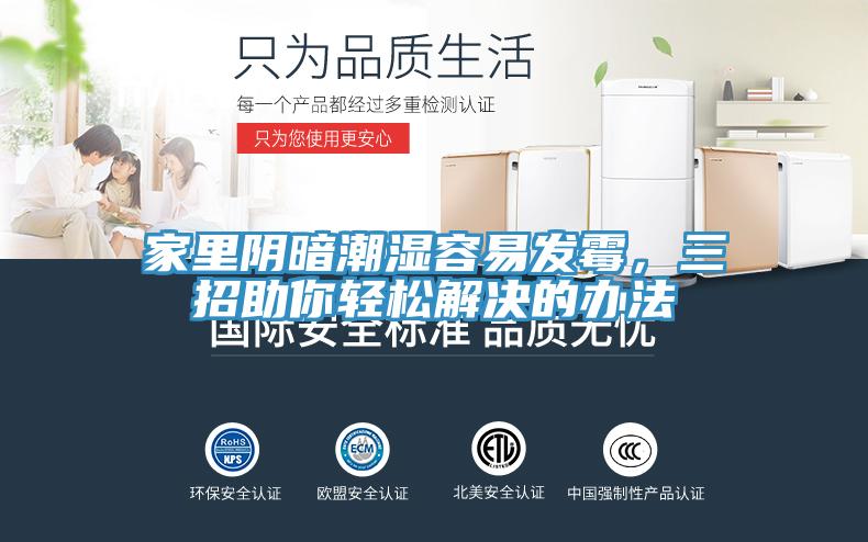 家里阴暗潮湿容易发霉，三招助你轻松解决的办法