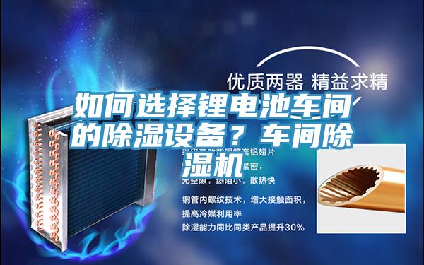 如何选择锂电池车间的除湿设备？车间MR.好色破解版