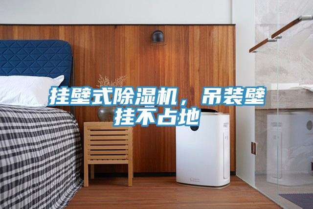 挂壁式MR.好色破解版，吊装壁挂不占地